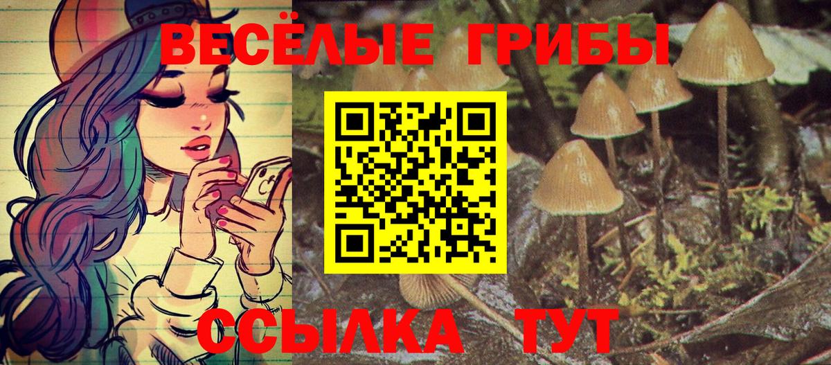 Котлас  Галлюциногенные грибы прущие грибы  Псилоцибиновые грибы прущие грибы  Вход с VPN 