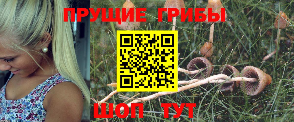 Псилоцибиновые грибы ЛСД Котлас
